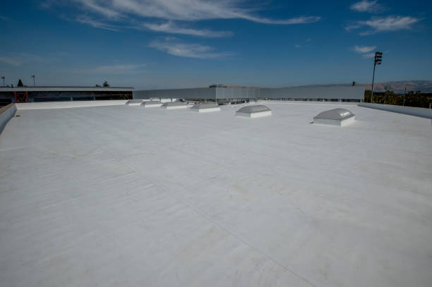Best Rubber Roofing (EPDM, TPO)  in Rochester Hills, MI